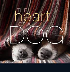 The Heart of a Dog di Liz Abeler Blaylock edito da KPT PUB