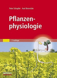 Pflanzenphysiologie di Peter Schopfer, Axel Brennicke edito da Spektrum Akademischer Verlag