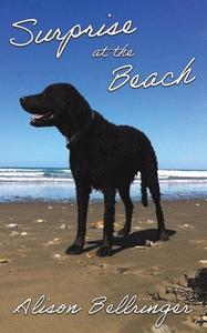 Surprise At The Beach di Alison Bellringer edito da Austin Macauley Publishers