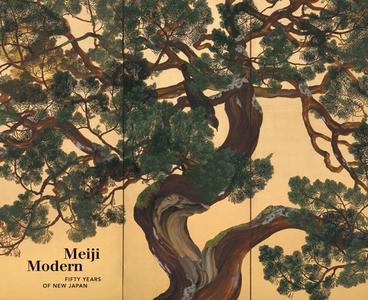 Meiji Modern - 50 Years Of New Japan di Chelsea Foxwell, Bradley M. Bailey edito da Yale University Press