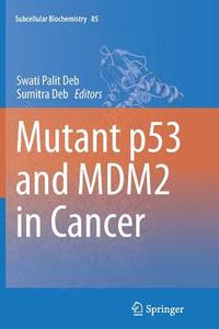 Mutant p53 and MDM2 in Cancer edito da Springer Netherlands