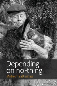 Depending on No-Thing di Robert Saltzman edito da New Sarum Press