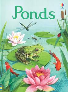 Ponds di Emily Bone edito da Usborne Publishing Ltd