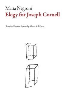 Elegy for Joseph Cornell di Maria Negroni edito da DALKEY ARCHIVE PR