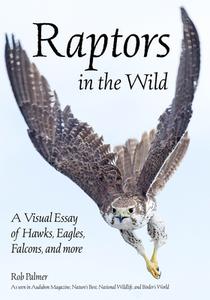 Raptors In The Wild di Rob Palmer edito da Amherst Media