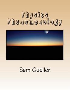 Physics Phenomenology: From Strings and Beyond di Sam Gueller edito da Createspace
