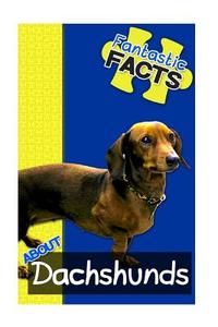 Fantastic Facts about Dachshunds: Illustrated Fun Learning for Kids di Miles Merchant edito da Createspace