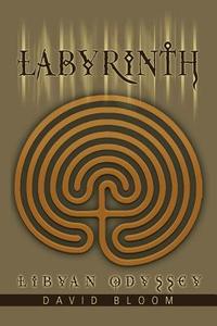 Labyrinth di David Bloom edito da iUniverse