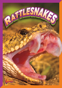 Rattlesnakes di Gail Terp edito da BLACK RABBIT BOOKS