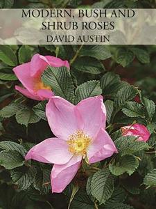 Modern, Bush And Shrub Roses di David Austin edito da Acc Art Books