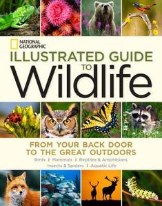 National Geographic Illustrated Guide to Wildlife di National Geographic edito da National Geographic Society