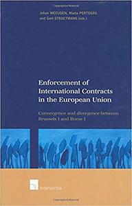 Enforcement of International Contracts in the European Union di J. Meeusen, M. Pertegas, G. Straetmans edito da Intersentia Publishers