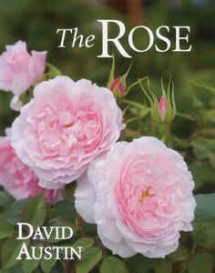 Rose di David Austin edito da ACC Art Books