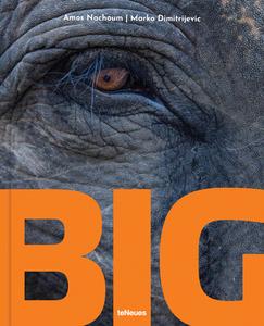 BIG: A Photographic Album Of The World's Largest Animals di Amos Nachoum, Marko Dimitrijevic edito da TeNeues Publishing UK Ltd