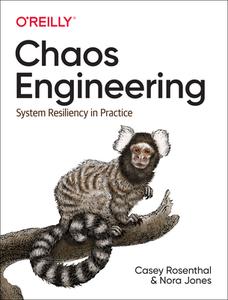 Chaos Engineering di Casey Rosenthal, Nora Jones, Nathan Aschbacher edito da O'Reilly UK Ltd.