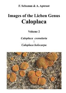 Images of the Lichen Genus Caloplaca, Vol 2 di Felix Schumm, André Aptroot edito da Books on Demand