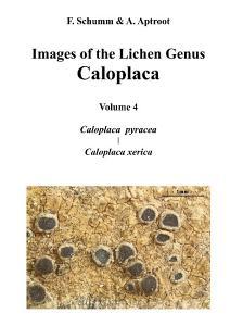 Images of the Lichen Genus Caloplaca, Vol4 di Felix Schumm edito da Books on Demand