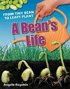 A Bean's Life di Angela Royston edito da Bloomsbury Publishing Plc