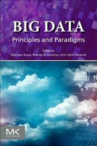Big Data: Principles and Paradigms di Rajkumar Buyya edito da MORGAN KAUFMANN PUBL INC