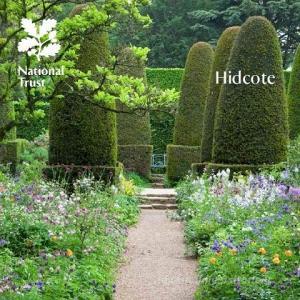 Hidcote, Gloucestershire di Helene Gammack edito da The National Trust