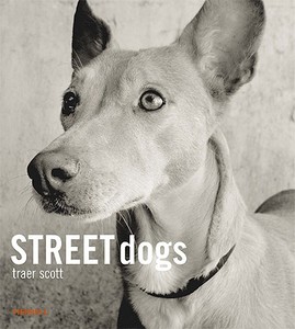 Street Dogs di Traer Scott edito da Merrell Publishers Ltd
