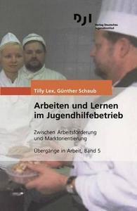 Arbeiten Und Lernen Im Jugendhilfebetrieb di Tilly Lex, Gunther Schaub edito da Dji