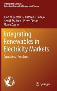 Integrating Renewables in Electricity Markets di Antonio J. Conejo, Henrik Madsen, Juan M. Morales, Pierre Pinson, Marco Zugno edito da Springer US