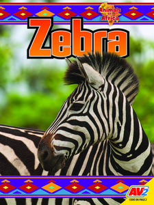 Zebra di Katie Gillespie edito da AV2