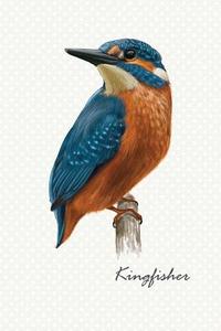 Kingfisher: Compact 6 X 9 Inches 120 Cream Paper Blank Dot Grid Notebook / Planner / Diary di Tiffin Press edito da Createspace Independent Publishing Platform