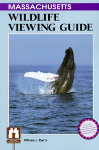 Massachusetts Wildlife Viewing Guide di William J Davis edito da Rowman & Littlefield