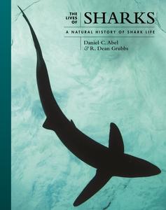 The Lives Of Sharks di Daniel Abel, Dr. R. Dean Grubbs edito da Princeton University Press