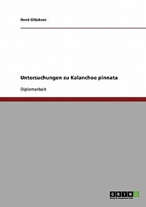 Untersuchungen zu Kalanchoe pinnata di René Glöckner edito da GRIN Publishing