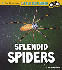 Splendid Spiders di Melissa Higgins edito da PEBBLE BOOKS