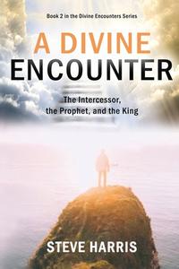 A Divine Encounter di Steve Harris edito da Outpouring Ministries
