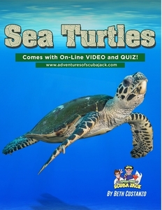 Sea Turtles di Beth Costanzo edito da Lulu.com