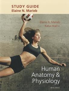 Study Guide For Human Anatomy & Physiology di Elaine N. Marieb, Katja Hoehn edito da Pearson Education (us)