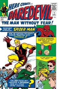 Mighty Marvel Masterworks: Daredevil Vol. 1: While the City Sleeps di Wally Wood edito da MARVEL COMICS GROUP
