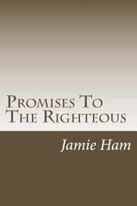 Promises to the Righteous: Psalms di Jamie Ham edito da Createspace
