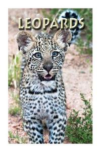 Leopards di Ann Levy edito da Createspace