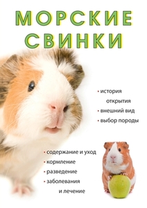 Морские свинки edito da Book on Demand - T8 Russian Titles