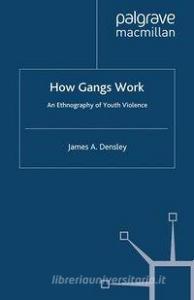 How Gangs Work di J. Densley edito da Palgrave Macmillan
