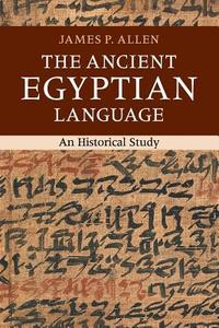The Ancient Egyptian Language di James P. Allen edito da Cambridge University Press