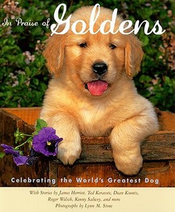 In Praise Of Goldens di Voyageur Press edito da Motorbooks International
