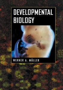 Developmental Biology di Werner A. Müller edito da Springer New York