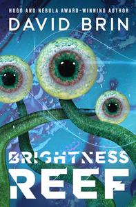 Brightness Reef di David Brin edito da OPEN ROAD MEDIA SCI FI & FANTA