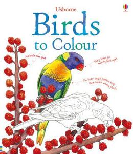 Birds To Colour di Megan Cullis edito da Usborne Publishing Ltd