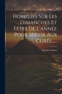 Homélies Sur Les Dimanches Et Fêtes De L'année Pour Servir Aux Curés...... di Antoine Godeau edito da LEGARE STREET PR