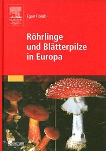 Röhrlinge und Blätterpilze in Europa di Egon Horak edito da Springer Spektrum