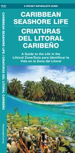 Caribbean Seashore Life: A Folding Pocket Guide to Familiar Species di Waterford Press edito da WATERFORD PR