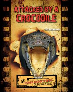 Attacked by a Crocodile di Sue L. Hamilton edito da ABDO & DAUGHTERS